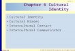 Slide 1 © 2004 The McGraw-Hill Companies, Inc. All rights reserved. McGraw-Hill Chapter 6 Cultural Identity Cultural Identity Cultural Biases Intercultural