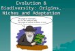 Evolution & Biodiversity: Origins, Niches and Adaptation © Brooks/Cole Publishing Company / ITP