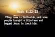 Mark 8:22-23 22 They came to Bethsaida, and some people brought a blind man and begged Jesus to touch him