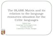 The BLARK Matrix and its relation to the language resources situation for the Celtic languages Delyth Prys Language Technologies Unit, Canolfan Bedwyr