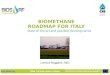 BIOMETHANE ROADMAP FOR ITALY State of the art and possible developments Lorenzo Maggioni, R&D