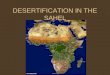 DESERTIFICATION IN THE SAHEL. WHAT IS DESERTIFICATION? Desertification is the process in which arable land is turned into desert. It occurs mainly in