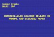 INTRACELLULAR CALCIUM RELEASE IN NORMAL AND DISEASED HEART Sandor Gyorke DHLRI, 507