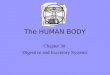 The HUMAN BODY Chapter 30 Digestive and Excretory Systems