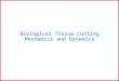 Biological Tissue Cutting Mechanics and Dynamics