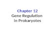 Chapter 12 Gene Regulation in Prokaryotes. Gene Regulation Is Necessary? By switching genes off when they are not needed, cells can prevent resources