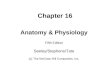Chapter 16 Anatomy & Physiology Fifth Edition Seeley/Stephens/Tate (c) The McGraw-Hill Companies, Inc