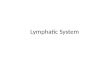 Lymphatic System. Thymus- immune booster Thymus Slide ThymusThymic medulla Medulla CortexThymic Corpuscle