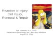 Reaction to Injury: Cell Injury, Renewal & Repair Rob Edwards, M.D., Ph.D. Department of Pathology and Laboratory Medicine August 15, 2011