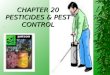CHAPTER 20 PESTICIDES & PEST CONTROL Chapter Objectives  Define Pesticides  Discuss the Pro’s and Con’s of Pesticide Use  Understanding of Regulations