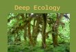Deep Ecology. Presentations April 10: James, Agnes, Kingyu April 15: Andrew, Tak, Cyril April 17: Dominic, Christina, Sebastian Final Paper: 1 st draft