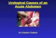 Urological Causes of an Acute Abdomen Dr Charles Chabert