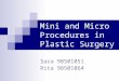 Mini and Micro Procedures in Plastic Surgery Sara 98501051 Rita 98501064