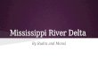 Mississippi River Delta By Rudra and Monsi. Physical Geography ● Location-The Mississippi River Delta region is a 3-million-acre area of land that stretches