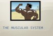 By the end of this unit you should be able to identify and describe the composition of skeletal muscle identify and describe different muscle fibre