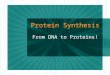 Protein Synthesis From DNA to Proteins!. What is a gene? A small segment of DNA that provides instructions for making proteins