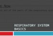 RESPIRATORY SYSTEM BASICS Do Now : List all of the parts of the respiratory system