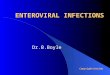 ENTEROVIRAL INFECTIONS Dr.B.Boyle Copyright©breida