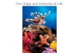 The Origin and Diversity of Life. Biodiversity ~1.5 Million species identified Many more remain to be identified
