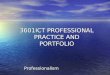 3601ICT PROFESSIONAL PRACTICE AND PORTFOLIO Professionalism