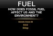 Mostafa Omran 9B 5/1/12 Biology FOSSIL FUEL HOW DOES FOSSIL FUEL AFFECT US AND THE ENVIRONMENT?