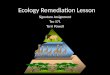 Ecology Remediation Lesson Signature Assignment Tec 571 Terri Powell