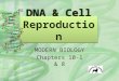 DNA & Cell Reproduction MODERN BIOLOGY Chapters 10-1 & 8