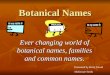 Botanical Names Ever changing world of botanical names, families and common names. Presented by Betty Girard McKenzie Seeds