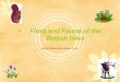 Flora and Fauna of the British Isles Work of Nikonorkin Nikita 8 «D»