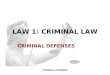 CRIMINAL DEFENSES LAW 1: CRIMINAL LAW CRIMINAL DEFENSES