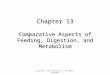 Chapter 13 Comparative Aspects of Feeding, Digestion, and Metabolism Copyright © 2013 Elsevier Inc. All rights reserved