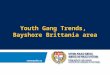Youth Gang Trends, Bayshore Brittania area. Area of Concentration for West-End Youth Gang (charged, arrested, suspected, witness or victim in any GO)