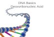 DNA Basics Deoxyribonucleic Acid. Every living organism has DNA. Every living thing has it’s own unique DNA. But DNA is DNA and… According to Nat Geo