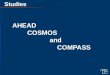 AHEAD COSMOS and COMPASS Studies. The AHEAD Study