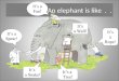 An elephant is like... Is this an elephant? What can an elephant tell us about God?