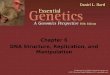 1 Chapter 6 DNA Structure, Replication, and Manipulation