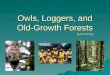 Owls, Loggers, and Old-Growth Forests By Rich McCoy