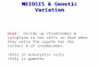 MEIOSIS & Genetic Variation Goal: Divide up chromosomes & cytoplasm to sex cells so that when they unite the zygote has the correct # of chromosomes. Only