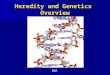 Heredity and Genetics Overview DNA. What is Heredity? Heredity is the passing on of traits or characteristics from one generation to the next. Heredity