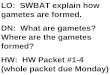 LO: SWBAT explain how gametes are formed. DN: What are gametes? Where are the gametes formed? HW: HW Packet #1-4 (whole packet due Monday)