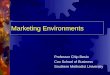 Marketing Environments Professor Chip Besio Cox School of Business Southern Methodist University