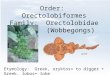Order: Orectolobiformes Family: Orectolobidae (Wobbegongs) Etymology: Greek, oryktos= to digger + Greek, lobos= lobe