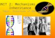UNIT 2: Mechanisms of Inheritance Topic: Structure of DNA