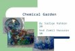 Chemical Garden By Sadiqe Rahman 9M And Zamil Hussain 9M