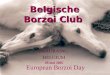 European Borzoi Day BEAURAING BELGIUM Belgische Borzoi Club 29 mei 2005
