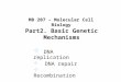 Part2. Basic Genetic Mechanisms  DNA replication  DNA repair  Recombination MB 207 – Molecular Cell Biology