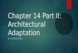 Chapter 14 Part II: Architectural Adaptation BY: AARON MCKAY