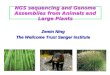NGS sequencing and Genome Assemblies from Animals and Large Plants Zemin Ning The Wellcome Trust Sanger Institute