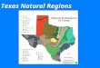 Texas Natural Regions. Extinction Rates  Background (natural) rate of extinction  Mass extinction  Adaptive radiations Number of families of marine