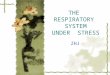 THE RESPIRATORY SYSTEM UNDER STRESS ZHJ. 2 OBJECTIVES Use the knowledge to predict the response of the respiratory system to three physiologic stresses